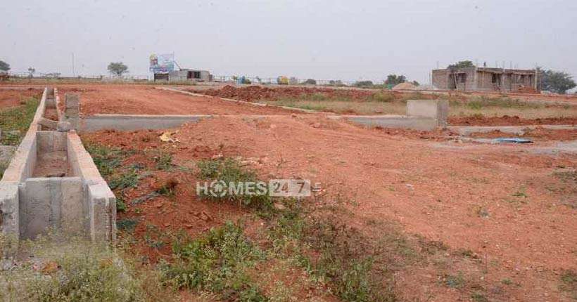 Rai Misty Meadows Cover Image